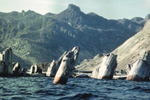 세인트 헬렌스 화산 스피릿 호수 - 떠 다니는 나무