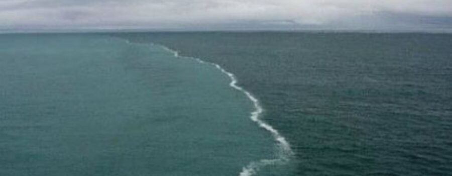 섞이지 않는 바닷물