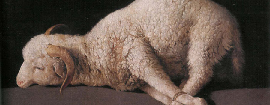 인류의 죄를 해결한 영원한 제사