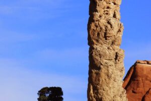 코다 크롬 - 관상암