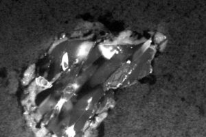 혜성의 입자 - Stardust