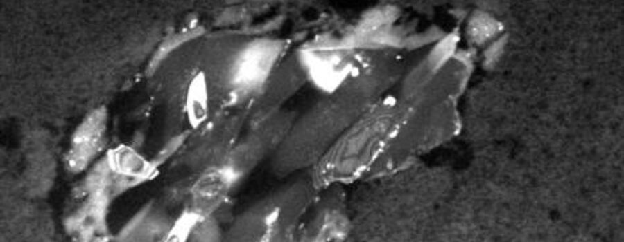 혜성의 입자 - Stardust