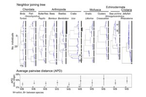 Why should mitochondria define species - APD 논문