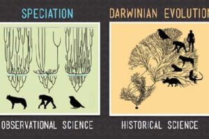 진화론을 너무 잘못 이해하고 있는 진화론자들