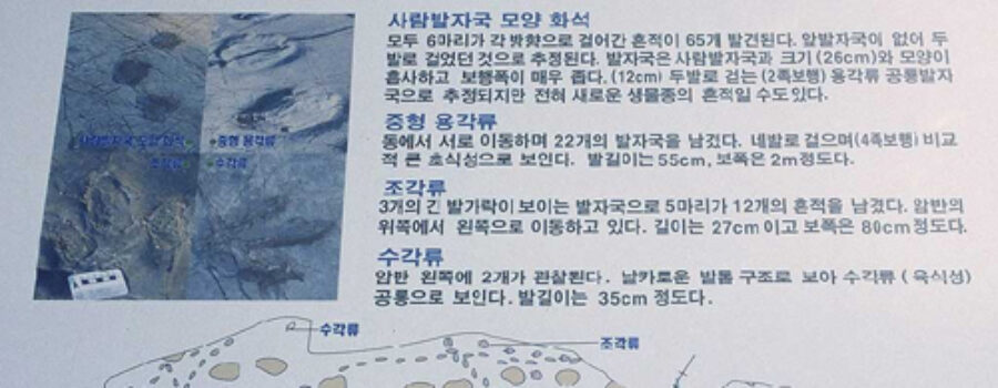 가인리 공룡발자국 화석지 - 사람 발자국 모양 화석