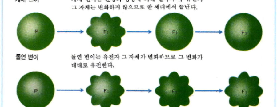 개체 변이와 돌연 변이의 차이점 - (주)천재교육