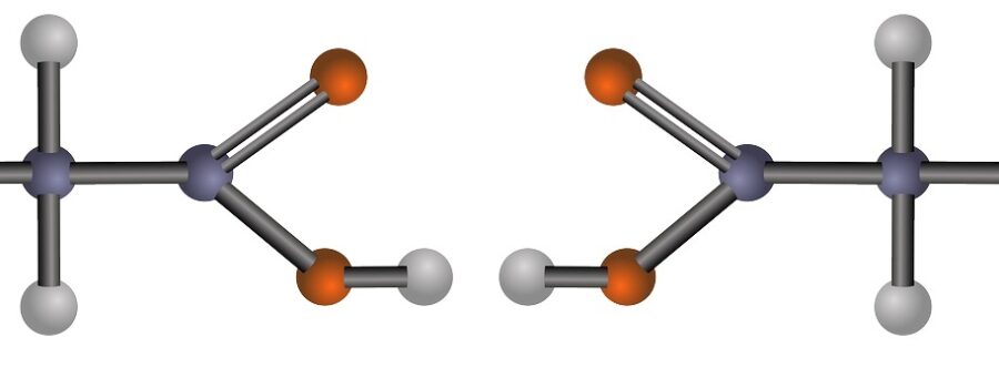 글리신 - L형 아미노산 & D 형 아미노산