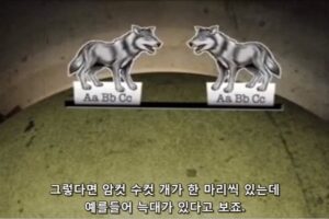 늑대가 개가 되는 것이 진화가 아닌 이유 - 진화론의 오해