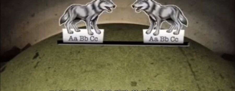 늑대가 개가 되는 것이 진화가 아닌 이유 - 진화론의 오해