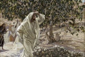 무화과 나무에 열매를 찾으시는 예수님