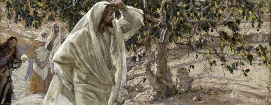 무화과 나무에 열매를 찾으시는 예수님