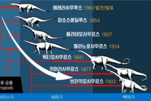 용각류 공룡 - 북툰