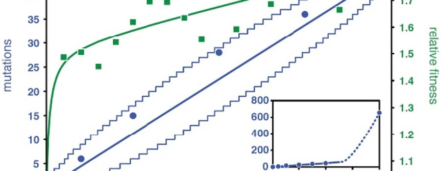 유전체 진화 경로 규명으로 생명 진화연구 신기원 마련