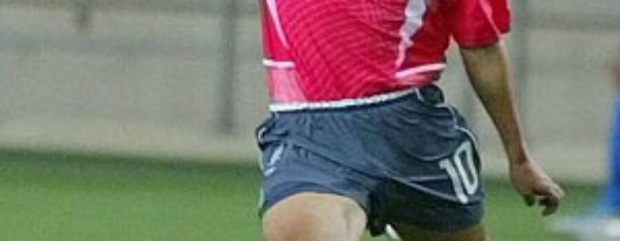 이영표 - 2002년 월드컵 슈팅 장면